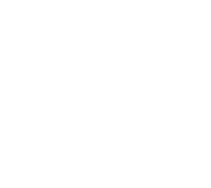 logotipowhite_nvconta.webp